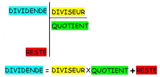 division-termes-1.jpg