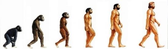 evolution-homme-2.jpg