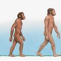 Quel critère n'est pas indispensable pour appartenir au genre homo (homme) ?